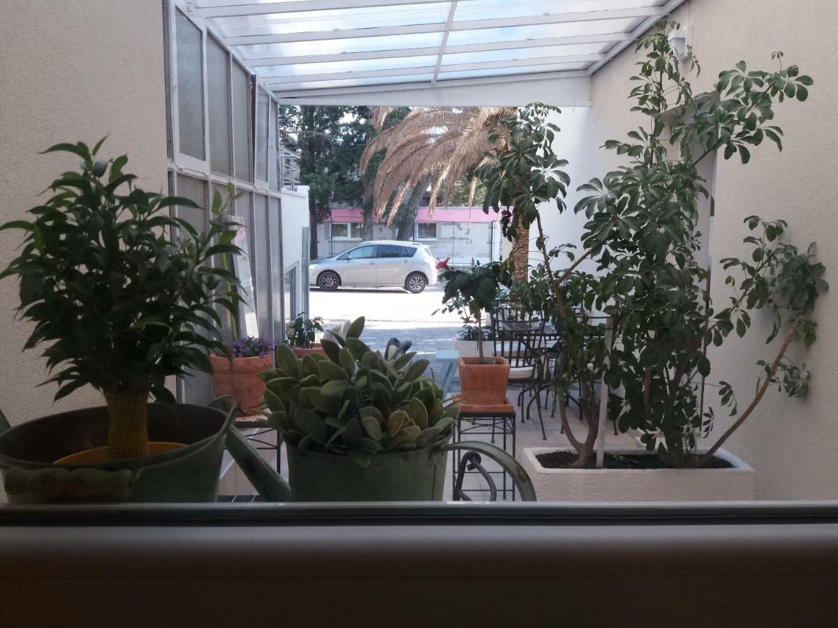 Apartmán Frapedo Sport Makarská Exteriér fotografie